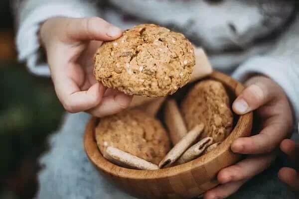 Can Dogs Eat Oatmeal Cookies?